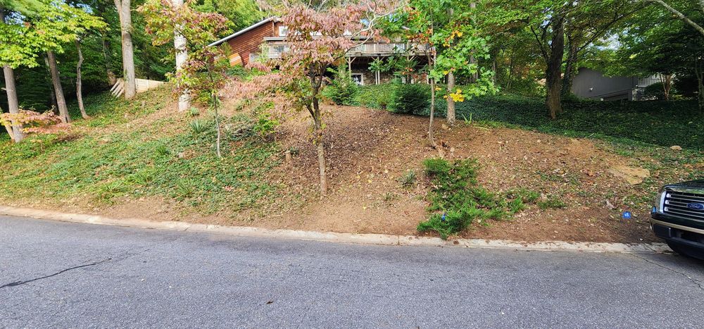 Clean ups and invasive plant management  for C4 TrueVision Renovations in Asheville, NC
