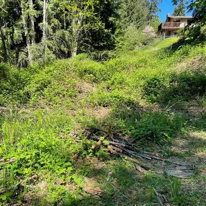 Our professional lawn mowing service ensures a consistently manicured appearance, enhancing your property’s aesthetics while promoting healthy grass growth. Enjoy reliable, efficient care tailored to fit the needs of your landscape. for Wilderness Stump Grinding in Orting, WA