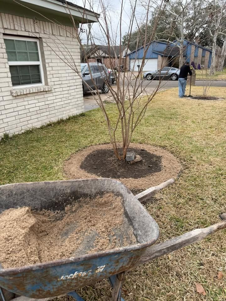 All Photos for Texas Curb N Borders in Houston, TX