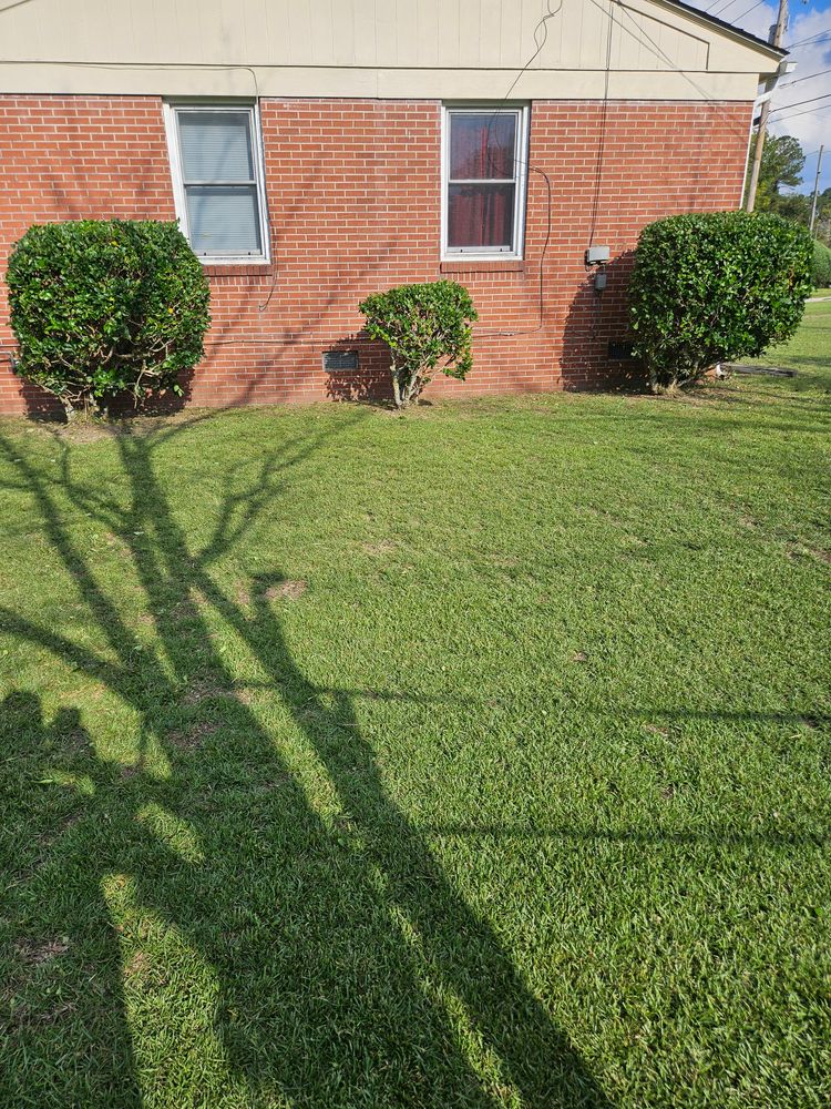 All Photos for Just Mow and Go Lawn Service in New Bern, NC