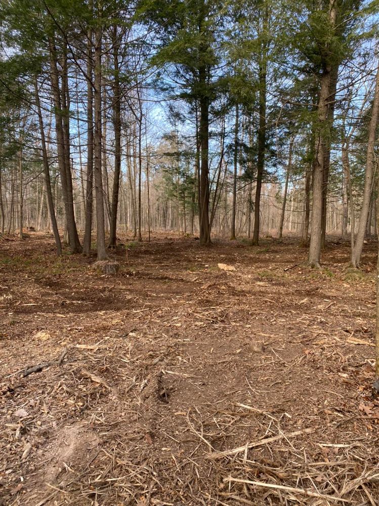 Land Clearing for Brush Busters in Wausau, WI