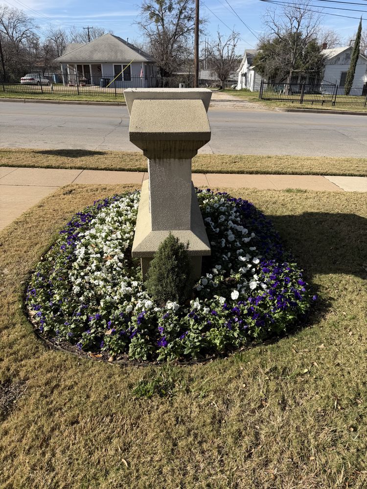 Fall flowers for Guerrero's Landscape in Fort Worth,  TX