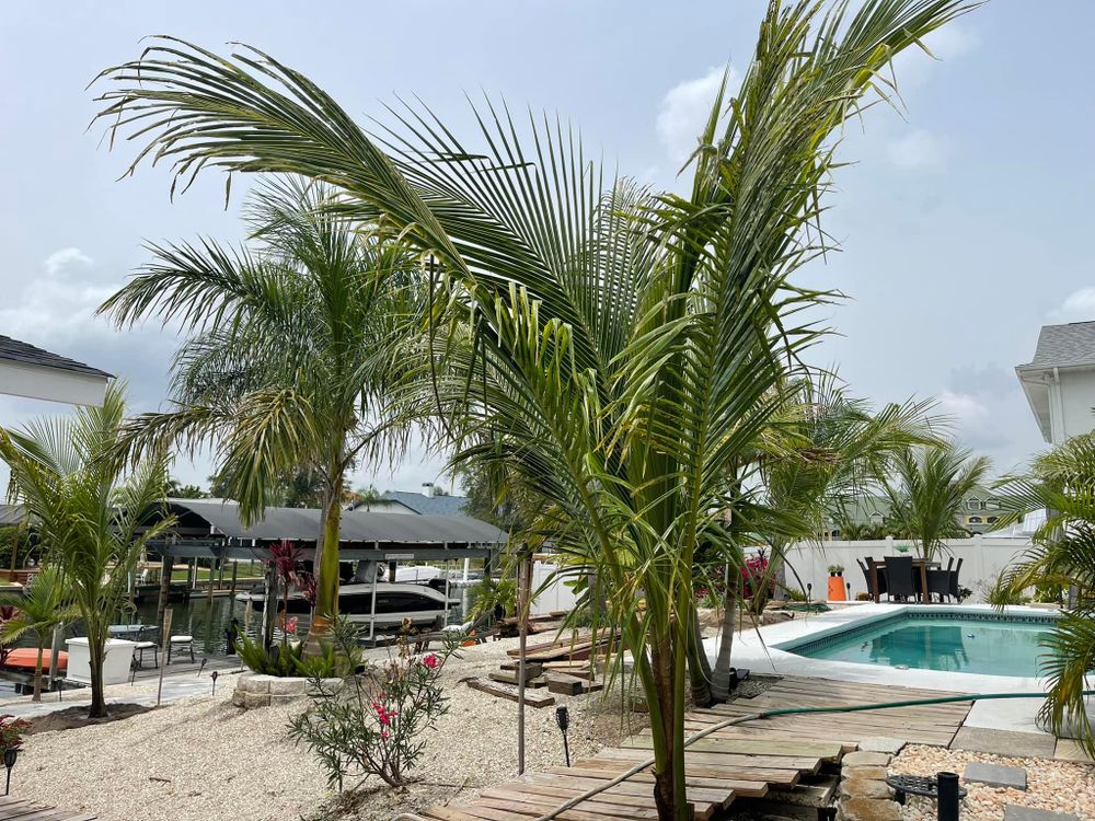 Landscaping for Plant World LLC in Cape Coral, FL