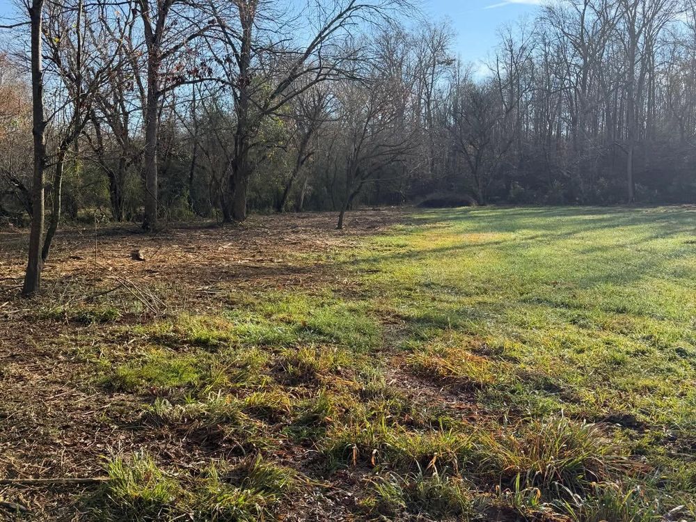 All Photos for T Crane Grading LLC in Clarkesville, GA