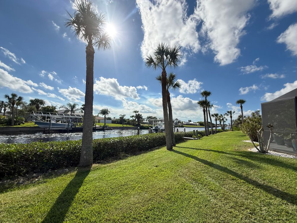 All Photos for MX Trees LLC in Englewood, FL