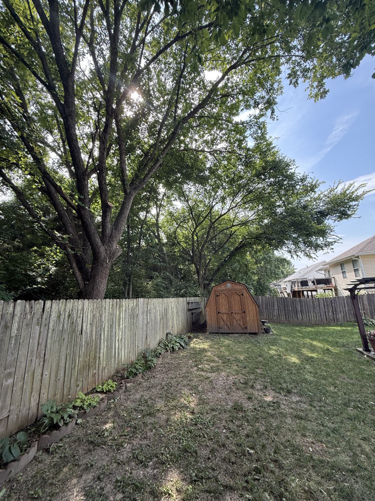 All Photos for Sky High Tree Service in Columbia, MO