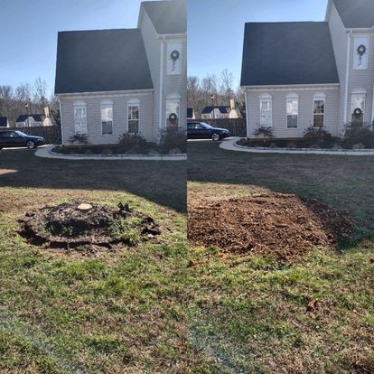 All Photos for Morgan's Stump Removal in Rock HIll, SC