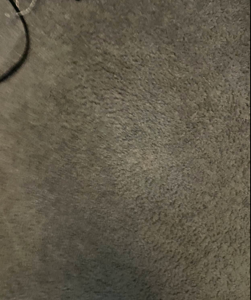 Carpet Cleaning for Banderas Cleaning Service in Elsmere, DE