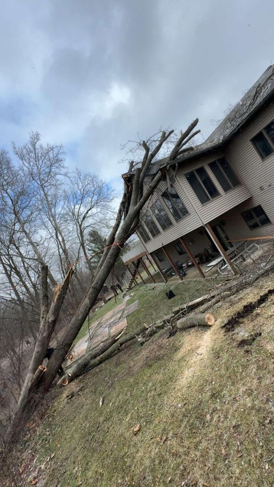 All Photos for Branching Out Tree Service in Hastings, MI