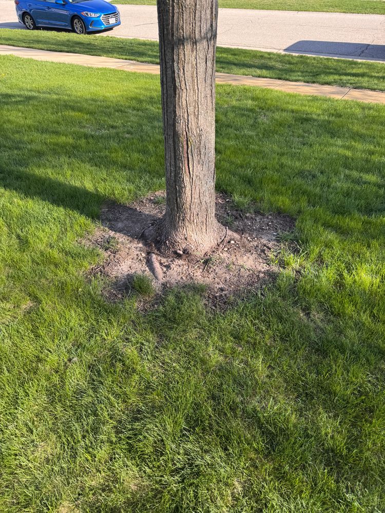 All Photos for H&L Lawn Care LLC in Twin Lakes, WI