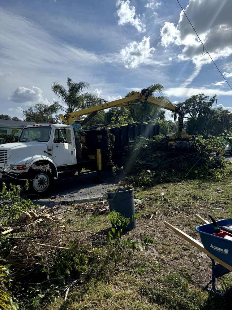 All Photos for Elevation Tree Service in Holiday, FL
