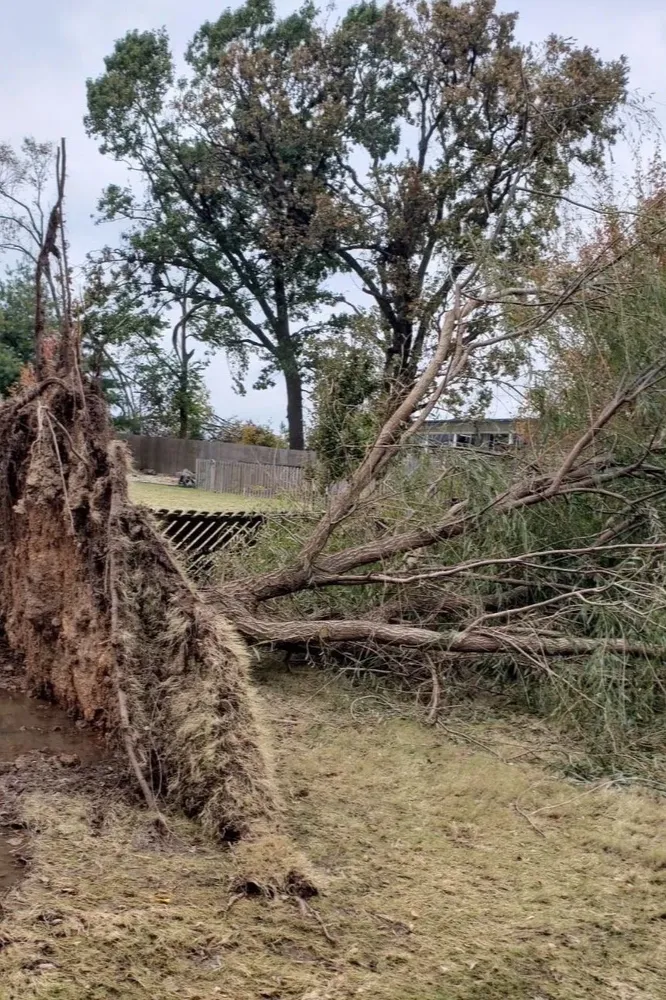 Our Loss Consulting service offers personalized guidance to homeowners, helping navigate insurance claims efficiently and ensuring maximum recovery after property damage. Trust our experts to support you through every step of the process. for Catastrophe Loss Consultants in Dallas, TX