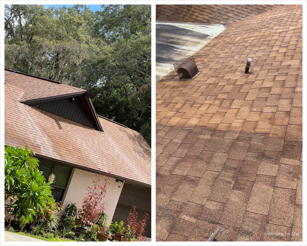 Roof Cleaning for Pressure Washing Warrior LLC in Ocoee, FL