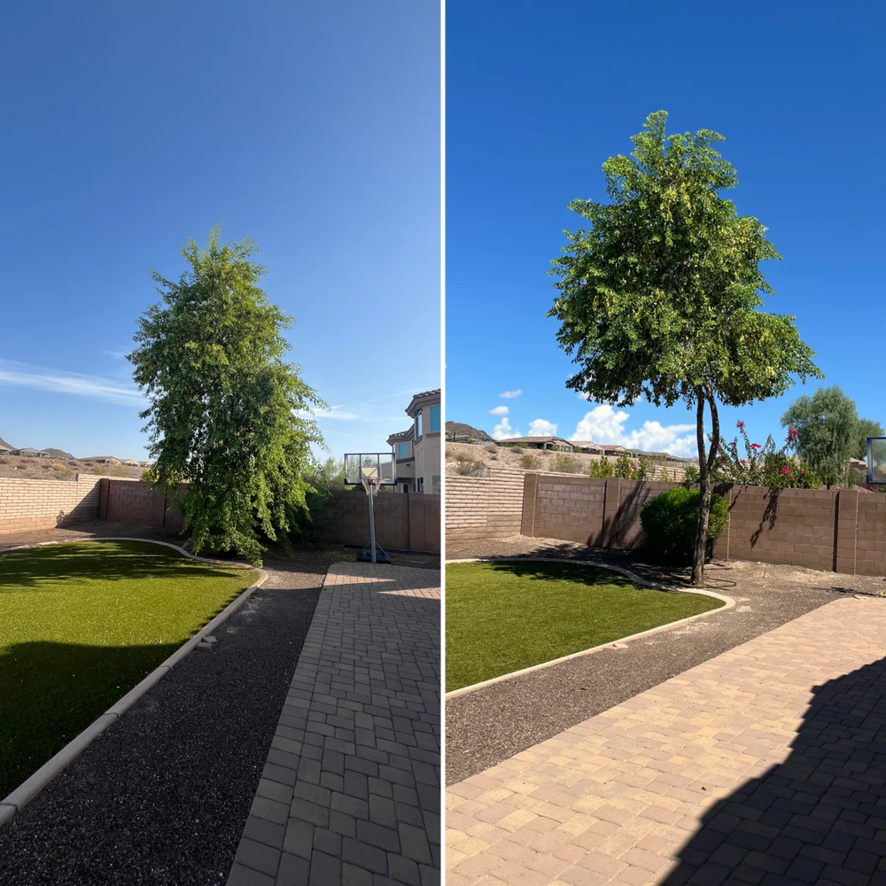 Topiary & Lawn Care for Grand Canyon State Landscape Inc. in Surprise, AZ