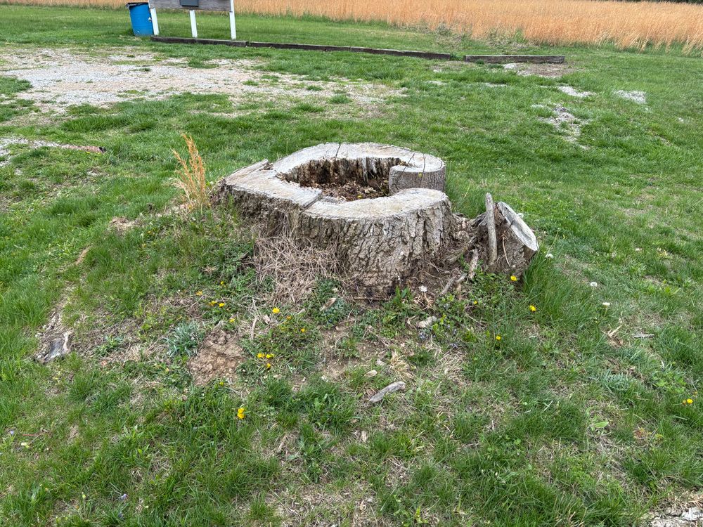 All Photos for Conrad's Stump Removal in Columbus, IN