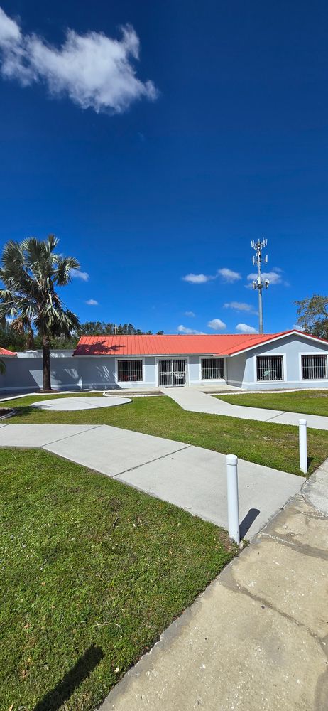 All Photos for Blue Stream Roof Cleaning & Pressure Washing in Tampa, FL