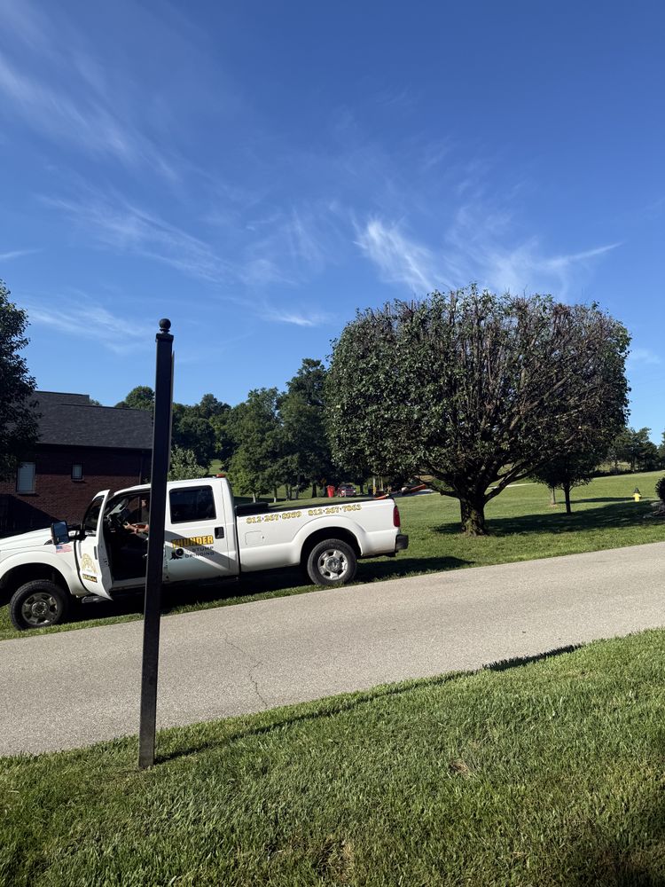 All Photos for Lightning Tree Service in Corydon, IN