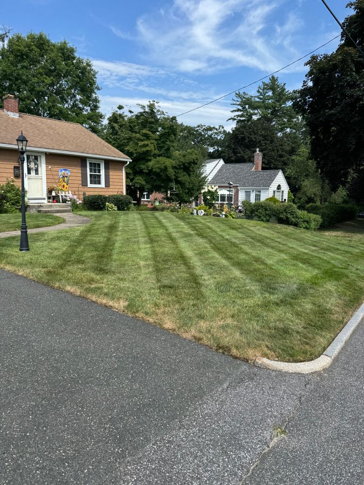 All Photos for Adams Landscaping in Springfield, MA