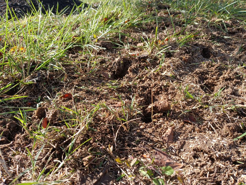 All Photos for Sam I AM Property Solutions in Sunderland, MD