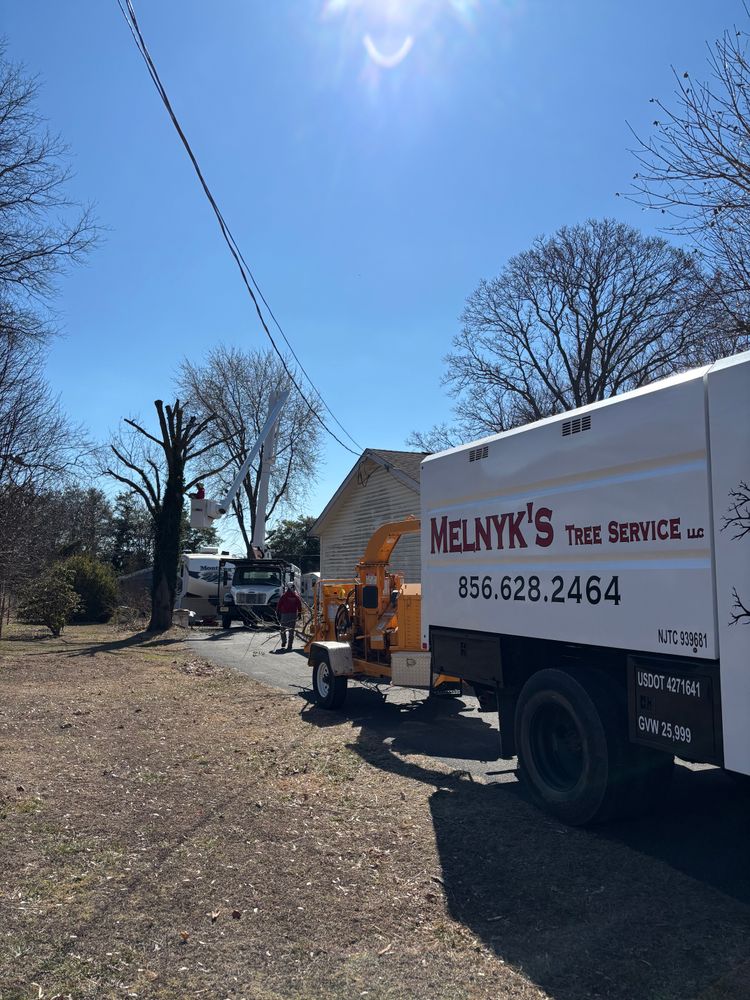 All Photos for Melnyk’s Tree Service in Salem County, NJ