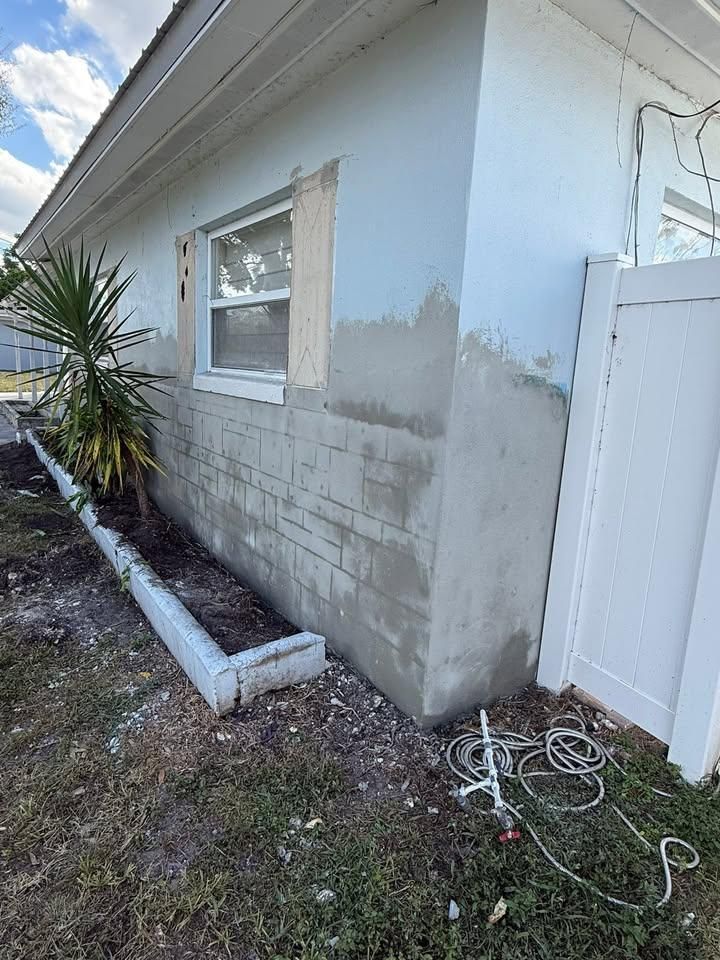 All Photos for Escorpio Painting in Tampa, FL