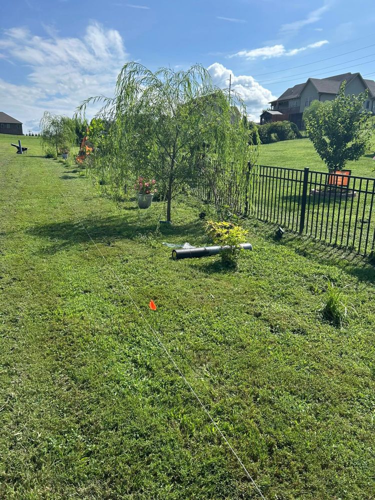 Our Lawn Maintenance service ensures a lush, healthy lawn with expert mowing, edging, fertilization, and weed control. Let our professionals transform your outdoor space into a vibrant and welcoming environment. for Gatrell Landscape & Tree Removal in Bluff City, TN
