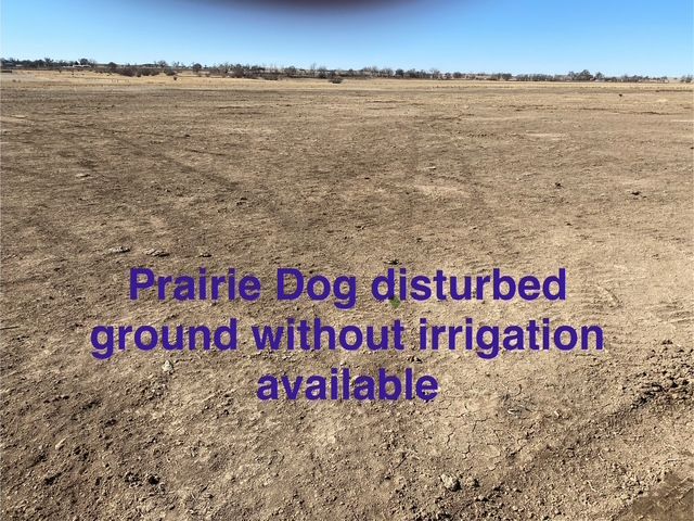 Hydroseeding for Fair Weather, Inc in La Junta, CO