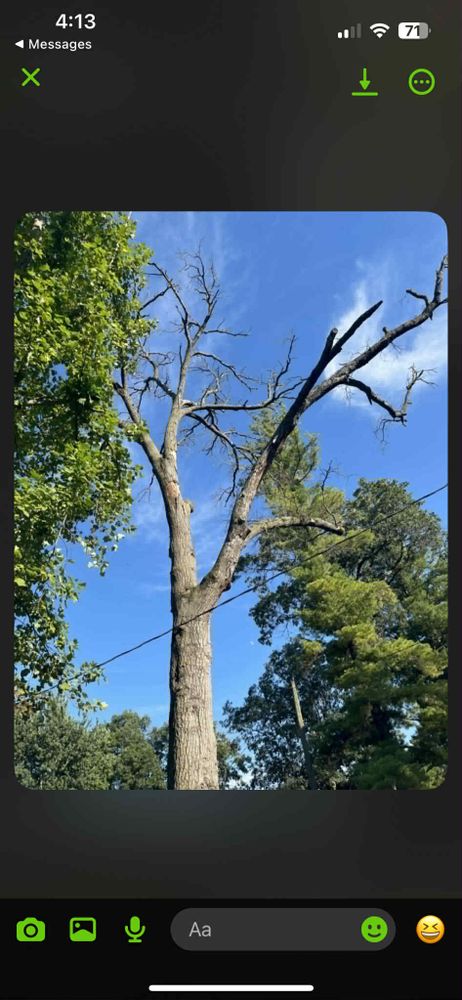 All Photos for Highborn Tree Service in Wheatfield, IN