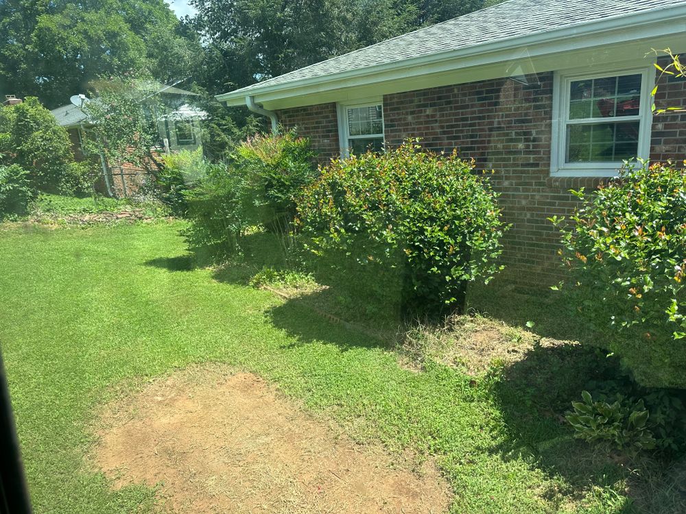 Shrub Removal  for Rescue Grading & Landscaping in Marietta, SC