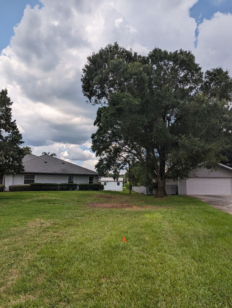 All Photos for Regal Tree Service and Stump Grinding in Wauchula, FL