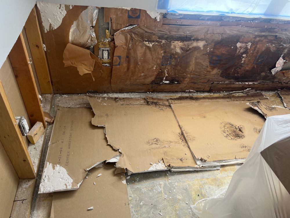 Mold Remediation for N&D Restoration Services When Disaster Attacks, We Come In in Cape Coral,  FL