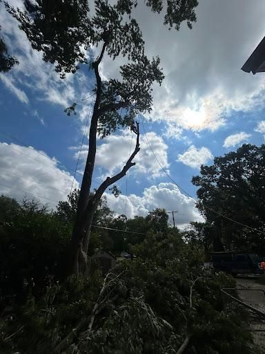 All Photos for Cross Family Tree Service in Kearney, MO