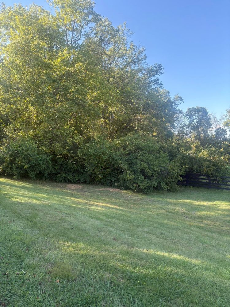 All Photos for Dig-It Tree Company in , 