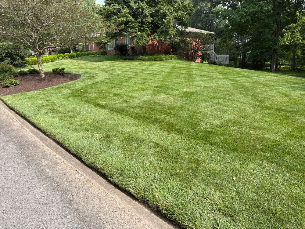 All Photos for Bailey’s Lawn Care & Dirt Service in Murray, KY