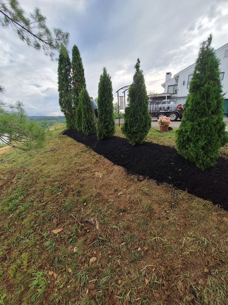 All Photos for Cincinnati’s Finest Landscape Services LLC in Cincinnati, OH