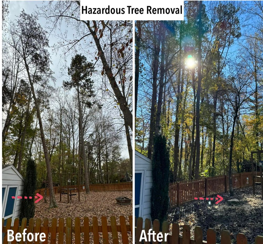 All Photos for Meade tree service in Greensboro, NC