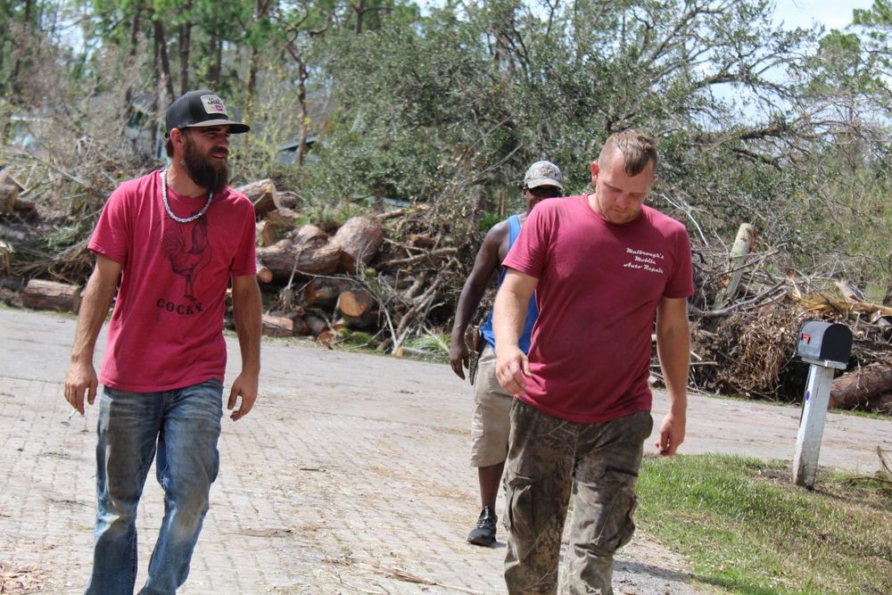 Tree Removal for American Tree Masters in Alvin, TX