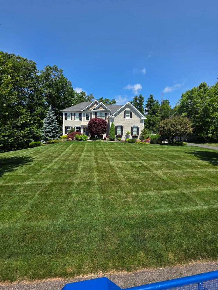 All Photos for Sweet Scapes in Ballston Spa, NY