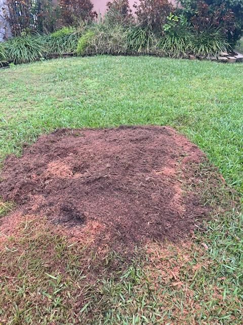 All Photos for KB’s Stump Removal in Pinellas county, FL
