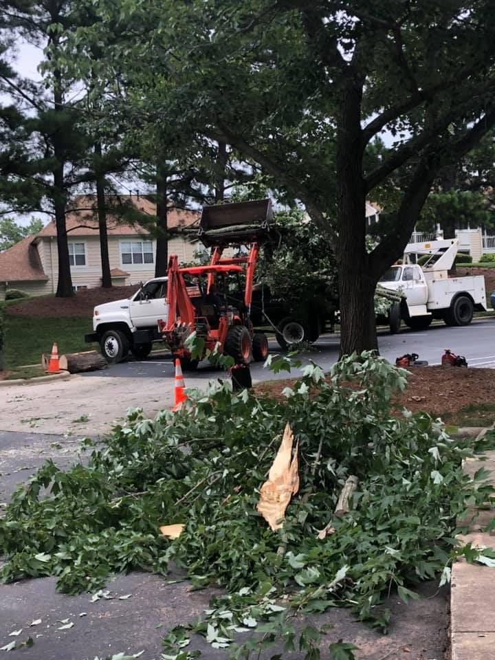 Tree Removal for North Meck Tree & Grounds Specialist in Huntersville, NC