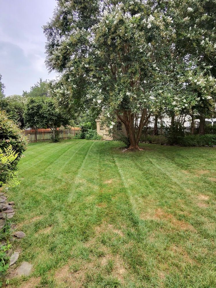 Our professional mowing service ensures a flawless lawn with precise cuts, meticulous edging, and expert care. Enjoy a lush, tidy yard that enhances your home's curb appeal effortlessly. for Jordan Lawn Care in Aldie, VA