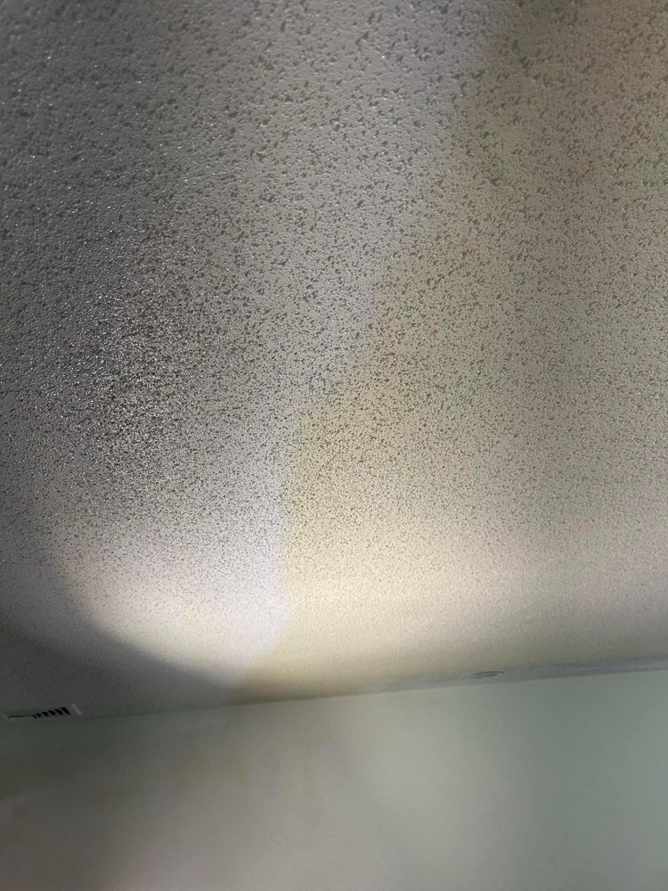 All Photos for Suter & Sons Painting in Amherst, Western Massachusetts