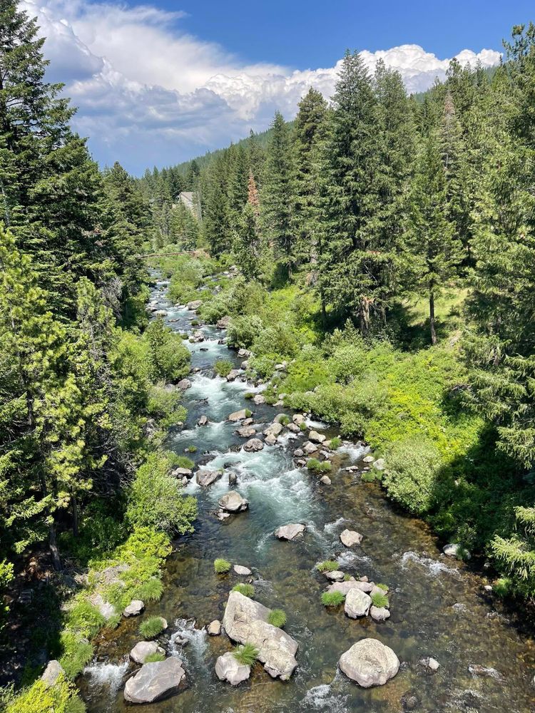All Photos for Fénix Forestry Tree Service in Bakersfield, CA
