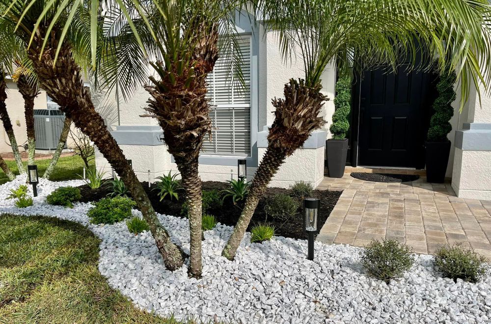 Landscaping for Verimay's Garden and Landscaping in Hillsborough County, FL