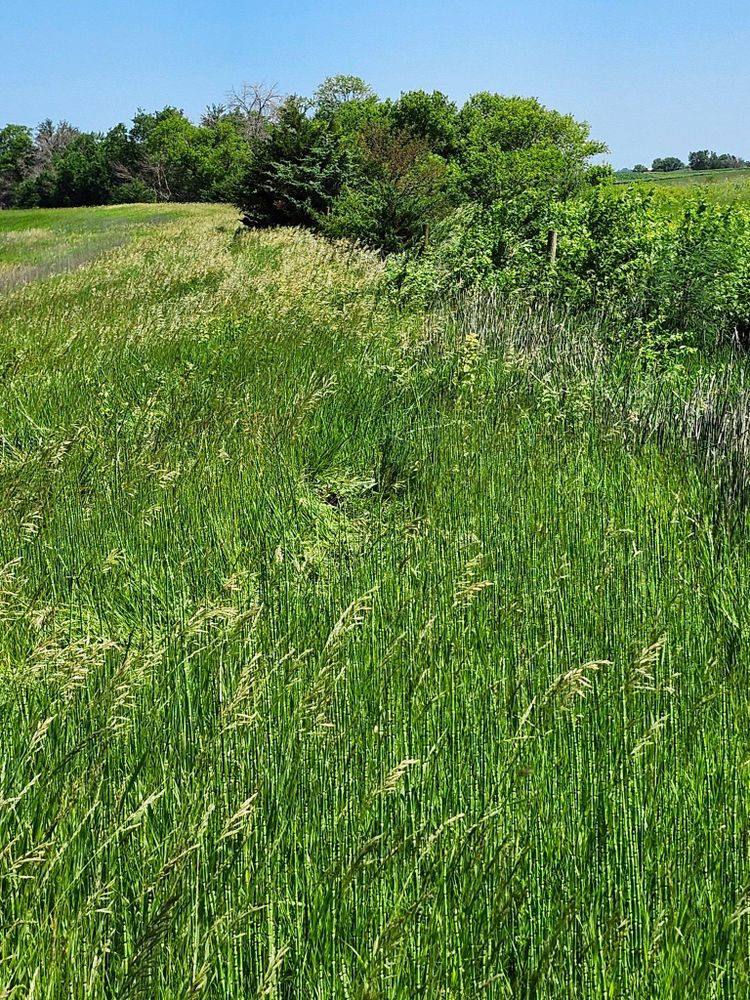All Photos for HWY 2&65 Fabrication & Fencing in Humeston, IA