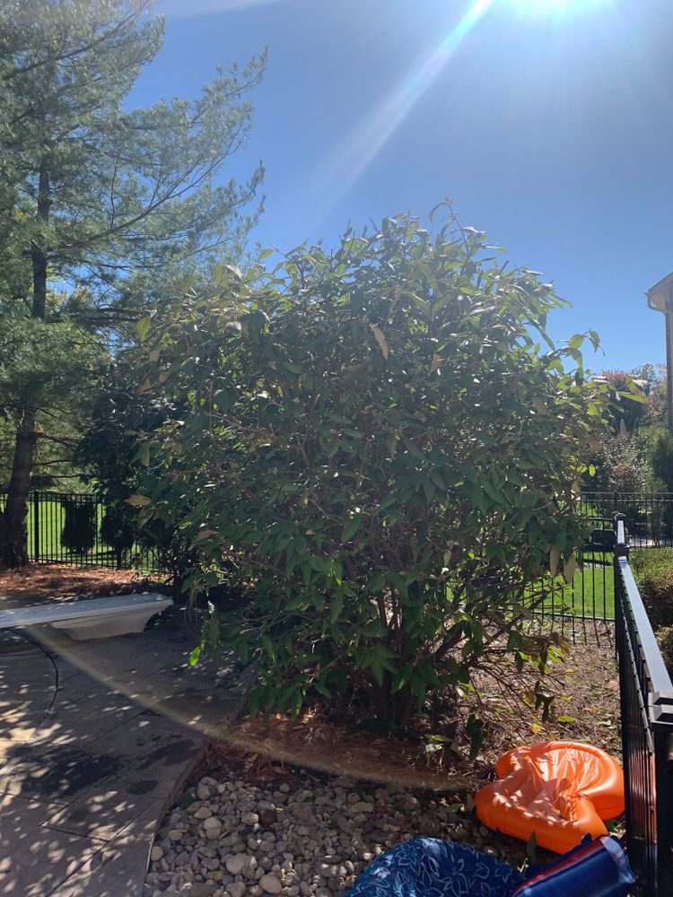 All Photos for Castle JR Landscaping & Painting LLC in Cincinnati, OH