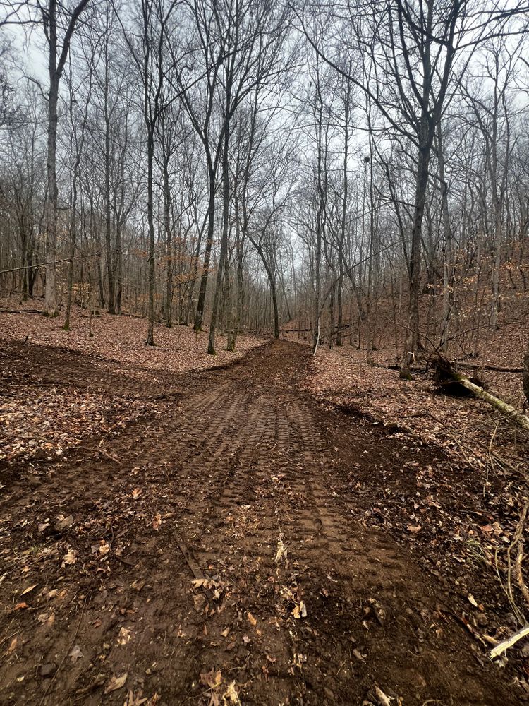 All Photos for Michael Way Acres in Woodlawn, TN