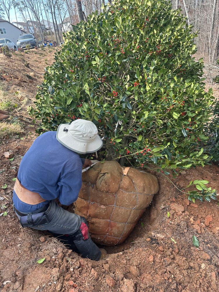 Landscaping for Hydra-Nomix  in Canton,  GA