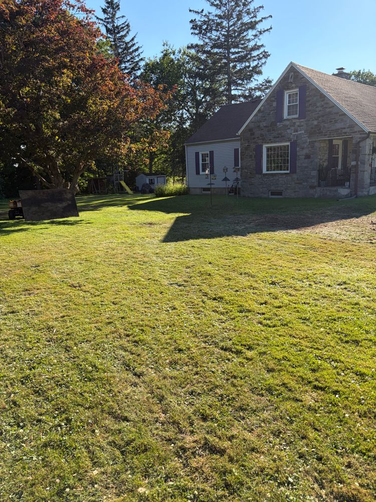 All Photos for Helfert Tree Service in Boonville, NY