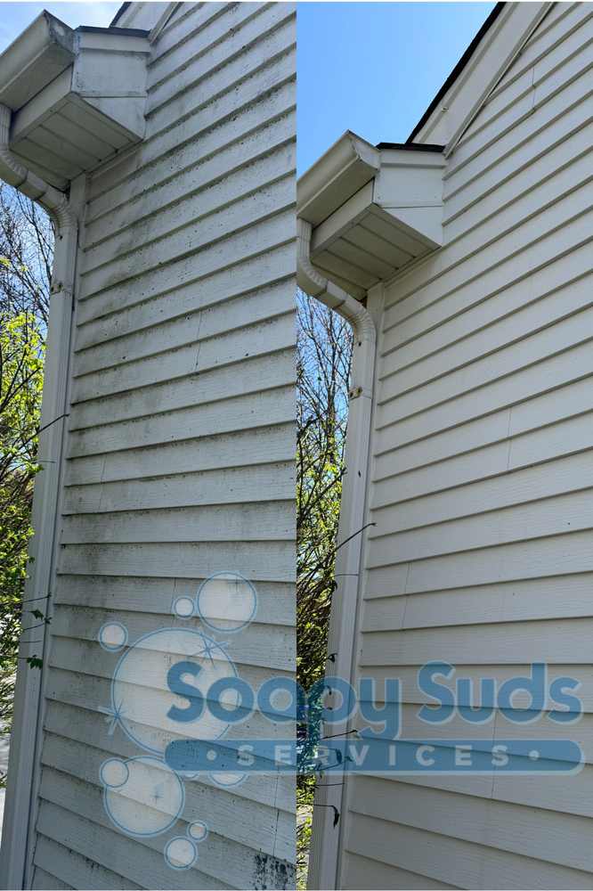 Home Softwash for Soapy Suds Services in St. Charles, IL